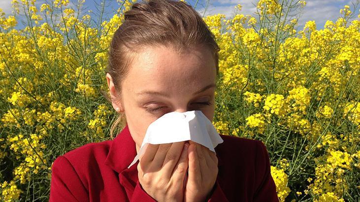 Alerjiler yaş aldıkça kötüleşiyor olabilir! Sebebi bağışıklık sisteminde saklı
